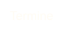 Termine